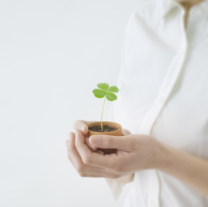 【岩永龍太郎税理士事務所】北九州・福岡の若い税理士