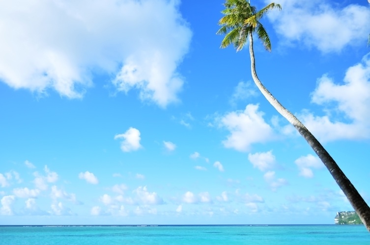 IslandTripHawaii(アイランドトリップハワイ）