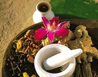 アーユルヴェーダ治療と通販のサトウィック