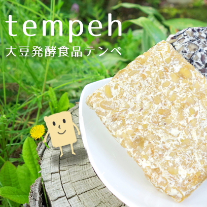 テンペは大豆発酵食品。発酵の力で栄養を吸収 !!