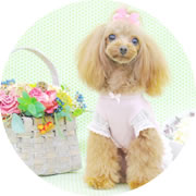 愛犬のトリミングなら高松市のペットサロン【わんぐるーむ】